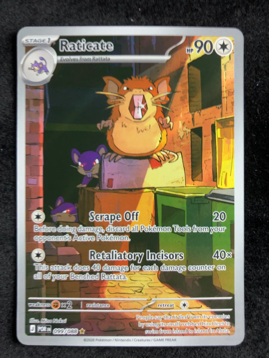 Raticate Perfect Order #99